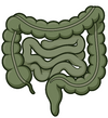 Promotes Digestive Comfort
