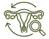 Supports Hormonal Wellness