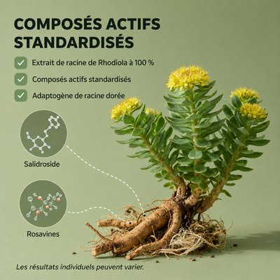 Gélules à l'extrait de rhodiole