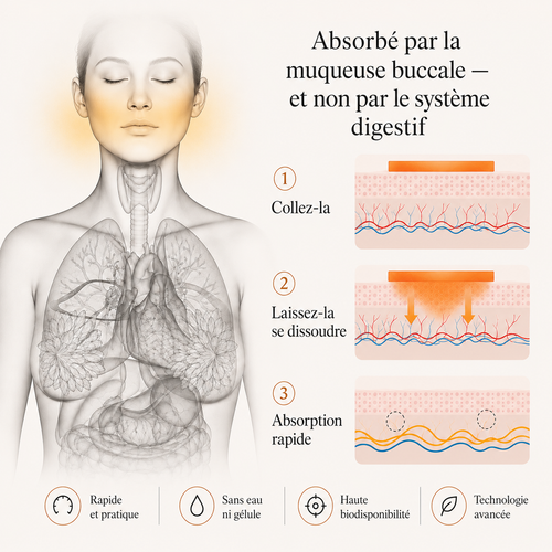 Bandes de glutathion liposomal