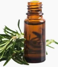 Rosemary Oil